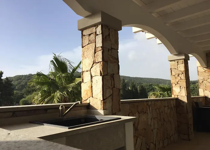 Elegance Ed A * 皮诺港