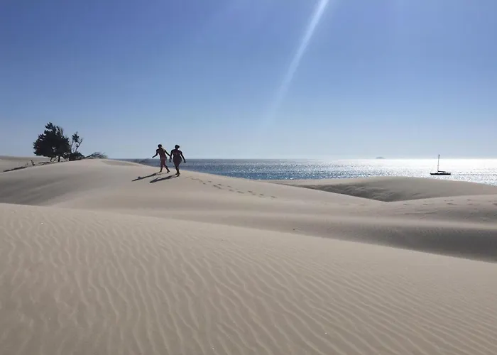 Elegance Ed A 皮诺港