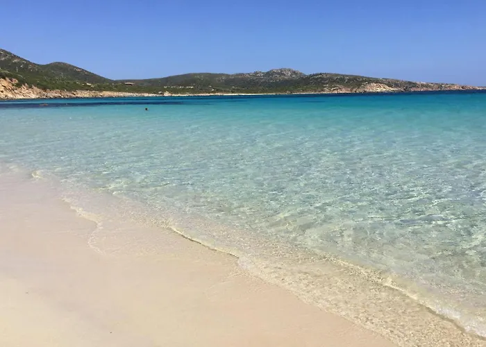 Elegance Ed A * 皮诺港